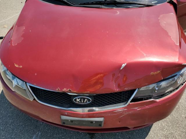 Photo 10 VIN: KNAFU4A26C5499817 - KIA FORTE EX 