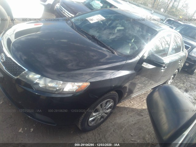 Photo 1 VIN: KNAFU4A26C5503381 - KIA FORTE 