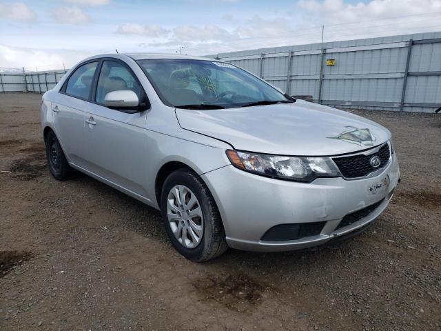 Photo 0 VIN: KNAFU4A26C5529446 - KIA FORTE EX 