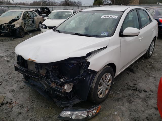 Photo 1 VIN: KNAFU4A26D5680577 - KIA FORTE 