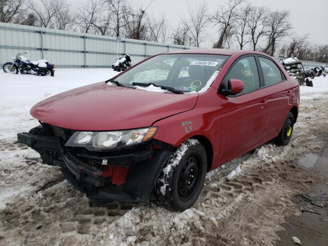 Photo 1 VIN: KNAFU4A26D5688548 - KIA FORTE EX 