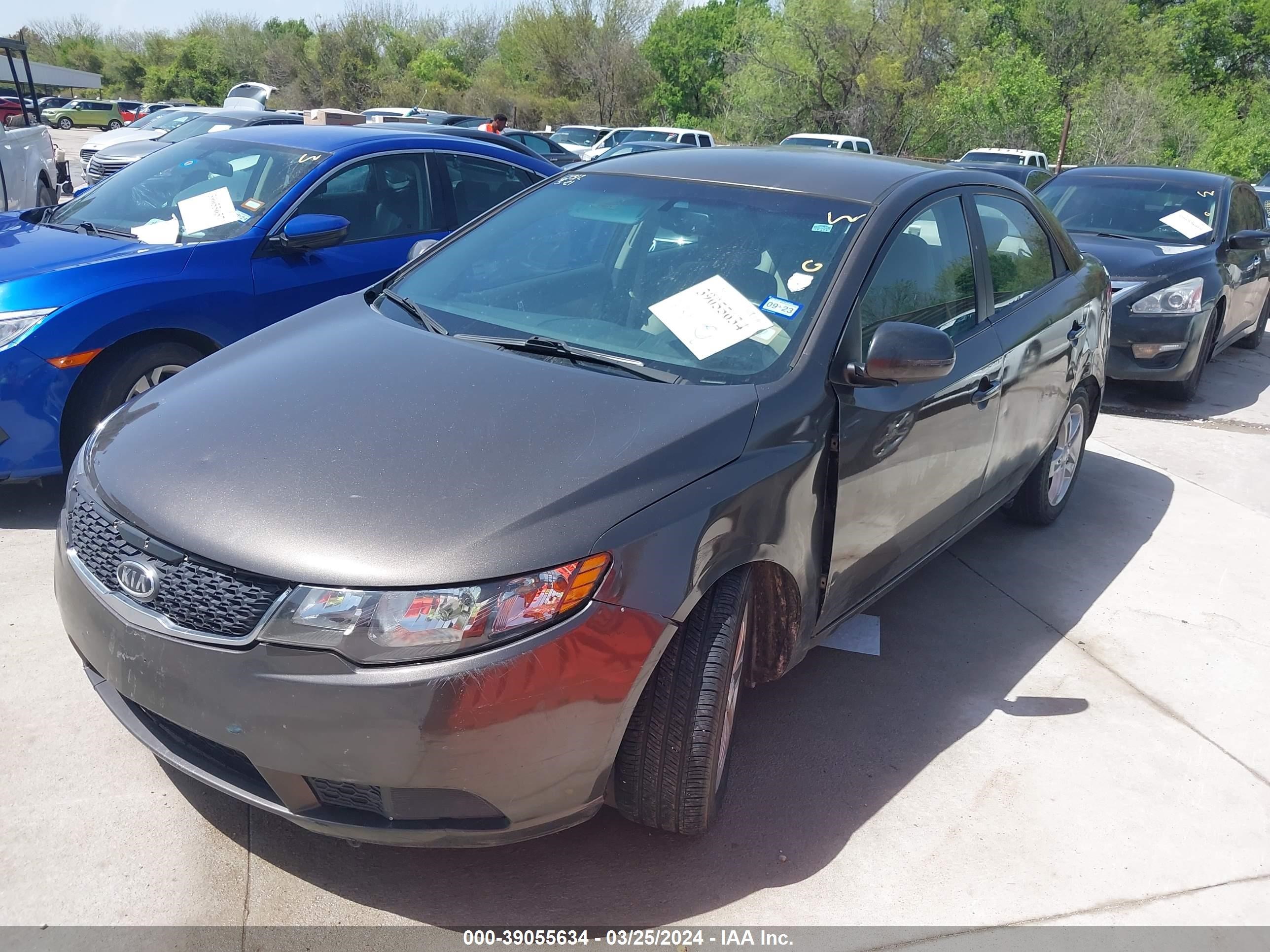 Photo 1 VIN: KNAFU4A26D5696181 - KIA FORTE 