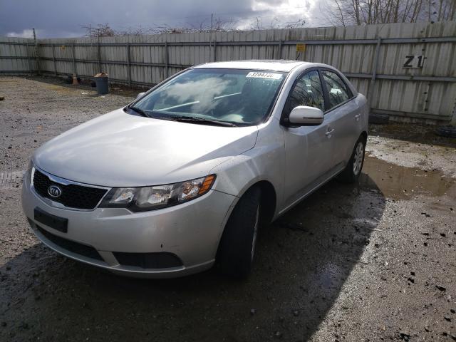 Photo 1 VIN: KNAFU4A26D5703887 - KIA FORTE EX 