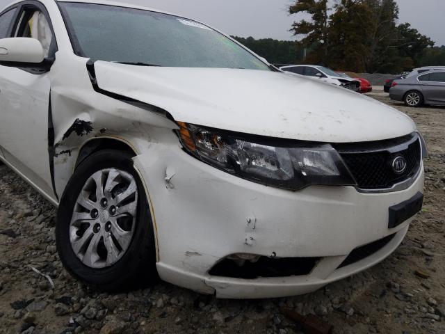 Photo 8 VIN: KNAFU4A27A5069923 - KIA FORTE EX 