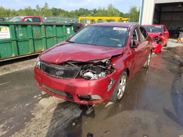 Photo 1 VIN: KNAFU4A27A5243263 - KIA FORTE EX 