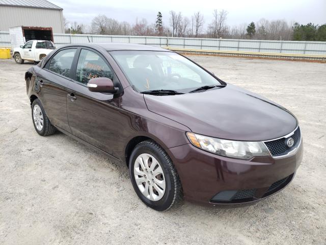 Photo 0 VIN: KNAFU4A27A5275419 - KIA FORTE EX 