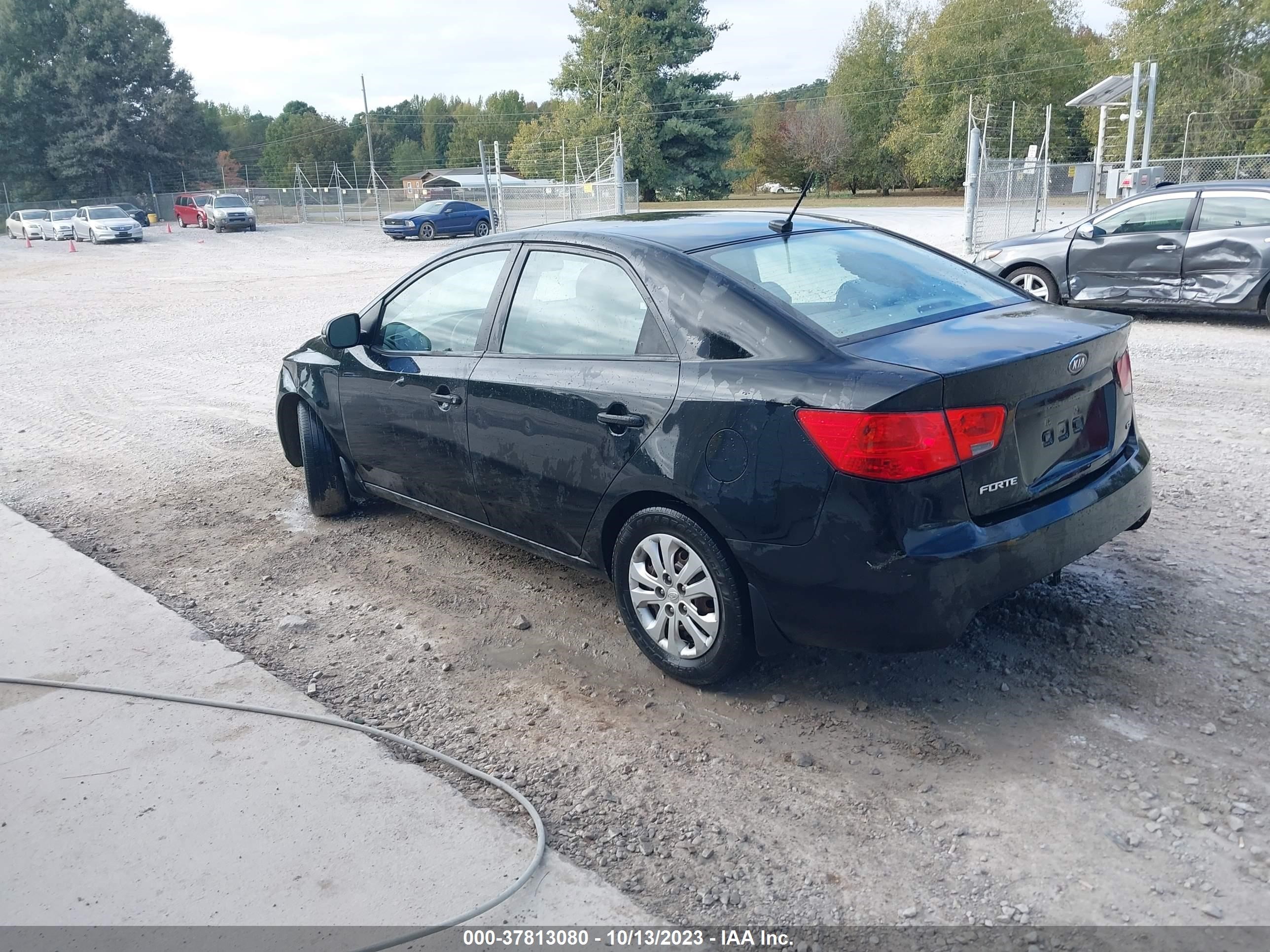 Photo 2 VIN: KNAFU4A27B5383394 - KIA FORTE 