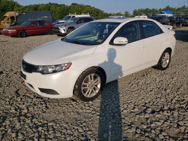 Photo 1 VIN: KNAFU4A27B5396615 - KIA FORTE EX 