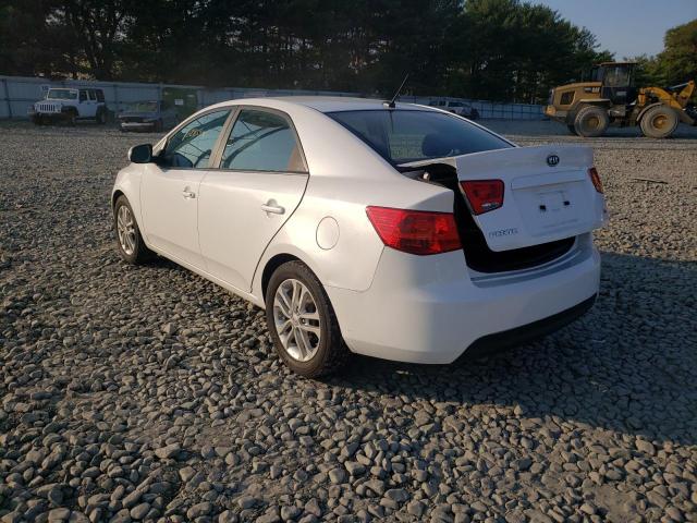 Photo 2 VIN: KNAFU4A27B5396615 - KIA FORTE EX 