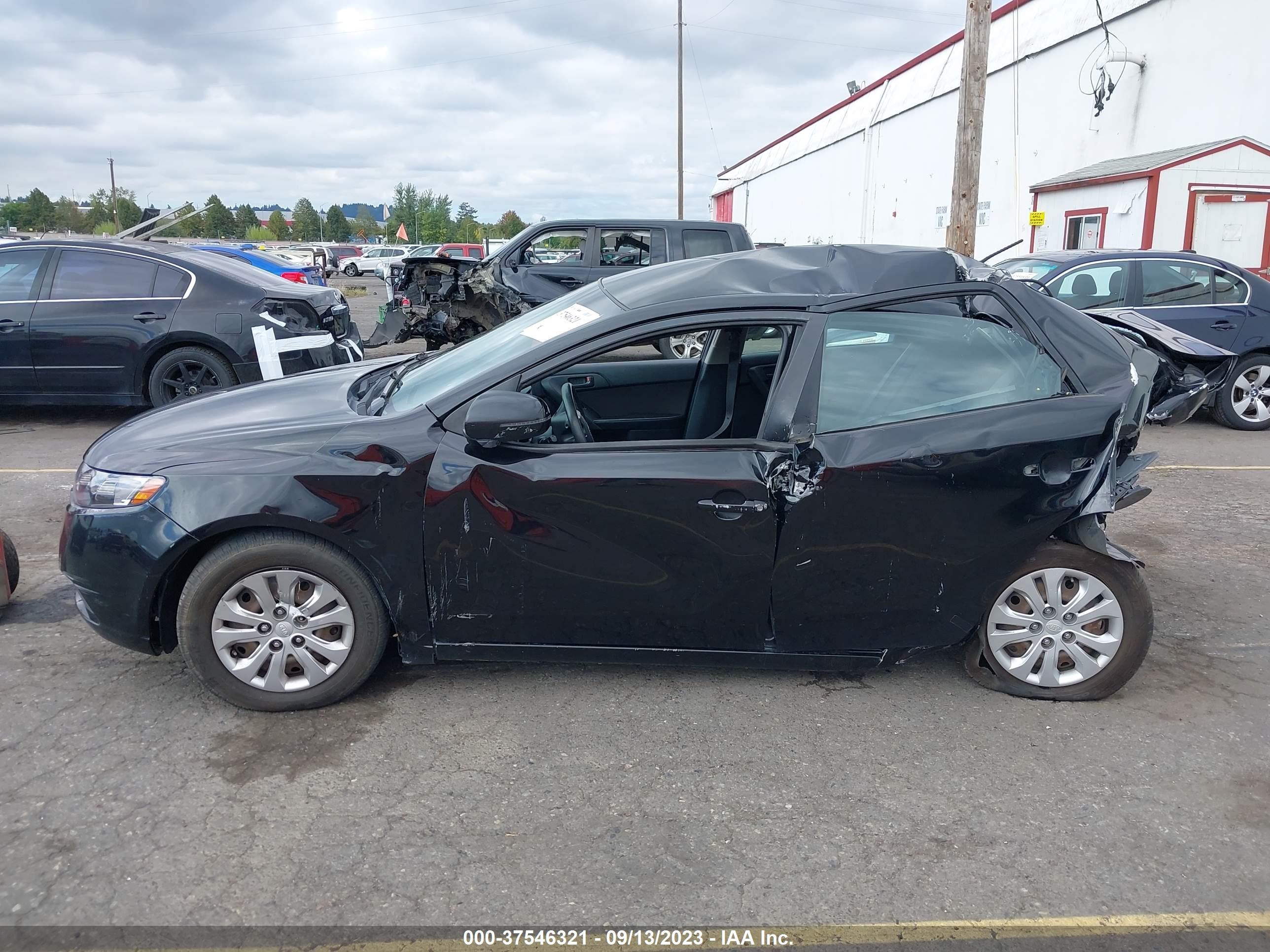 Photo 12 VIN: KNAFU4A27B5441701 - KIA FORTE 