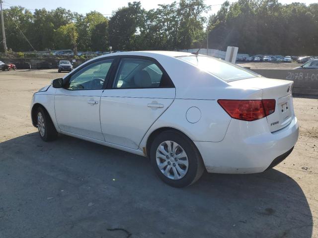 Photo 1 VIN: KNAFU4A27B5458949 - KIA FORTE EX 