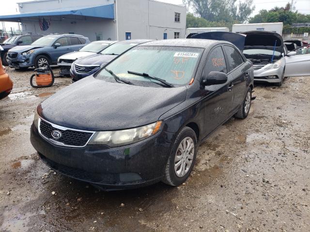 Photo 1 VIN: KNAFU4A27D5671273 - KIA FORTE EX 