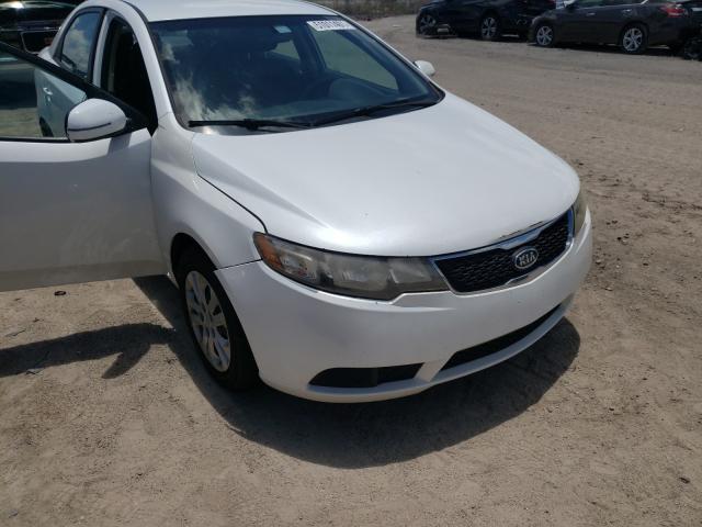 Photo 8 VIN: KNAFU4A27D5691376 - KIA FORTE EX 