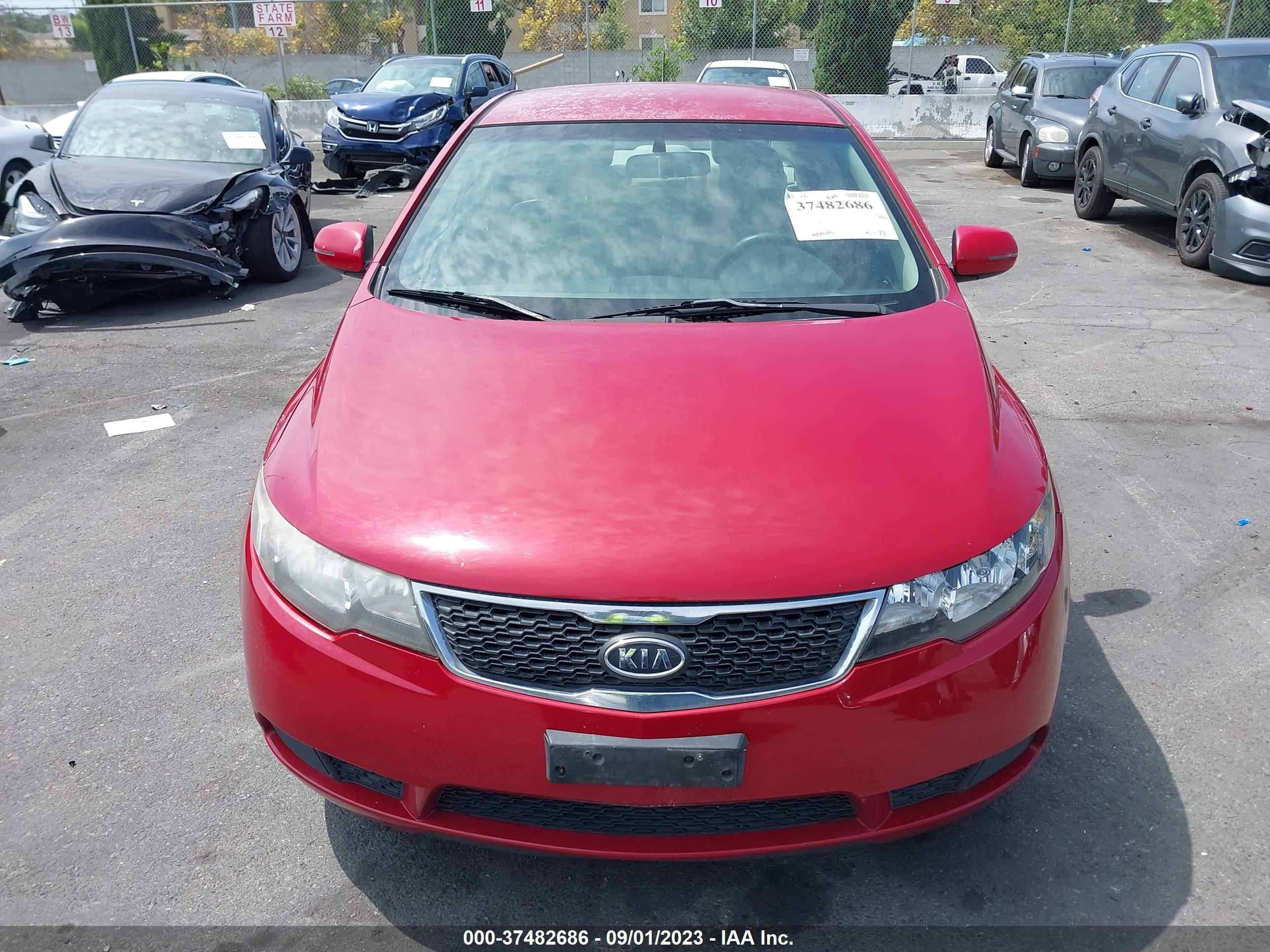 Photo 11 VIN: KNAFU4A27D5739538 - KIA FORTE 