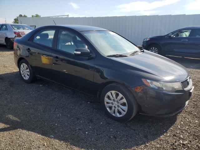 Photo 3 VIN: KNAFU4A28A5101732 - KIA FORTE EX 