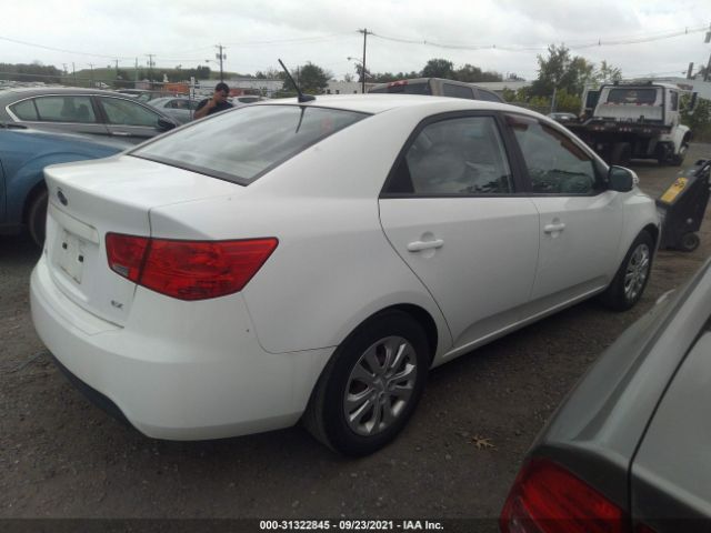 Photo 3 VIN: KNAFU4A28A5239464 - KIA FORTE 