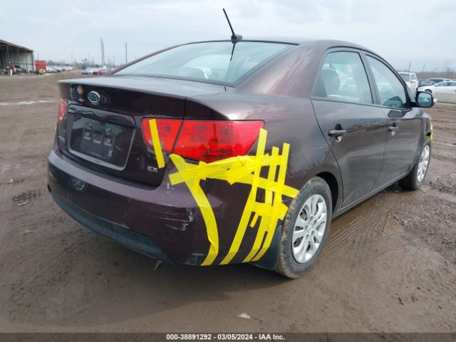 Photo 3 VIN: KNAFU4A28A5310355 - KIA FORTE 