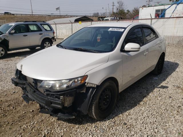 Photo 1 VIN: KNAFU4A28B5331675 - KIA FORTE EX 