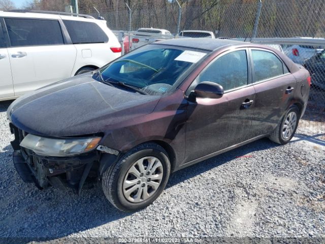 Photo 1 VIN: KNAFU4A28B5393285 - KIA FORTE 