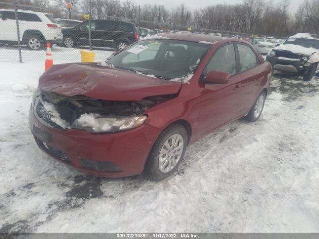 Photo 1 VIN: KNAFU4A28B5440489 - KIA FORTE 