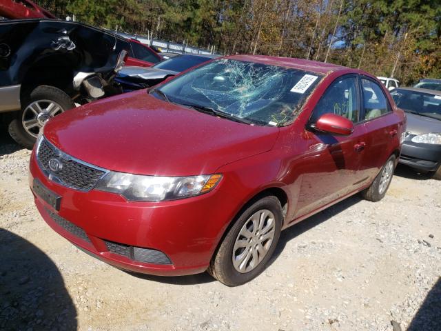 Photo 1 VIN: KNAFU4A28B5446034 - KIA FORTE EX 