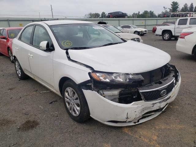 Photo 0 VIN: KNAFU4A28C5553599 - KIA FORTE EX 