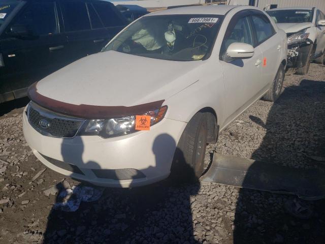 Photo 1 VIN: KNAFU4A28C5594217 - KIA FORTE EX 