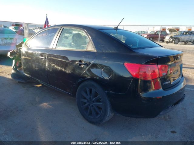 Photo 2 VIN: KNAFU4A28D5646124 - KIA FORTE 