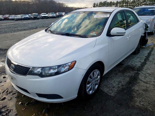 Photo 1 VIN: KNAFU4A28D5648066 - KIA FORTE EX 