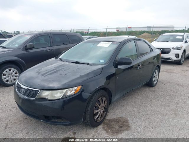 Photo 5 VIN: KNAFU4A28D5649668 - KIA FORTE 