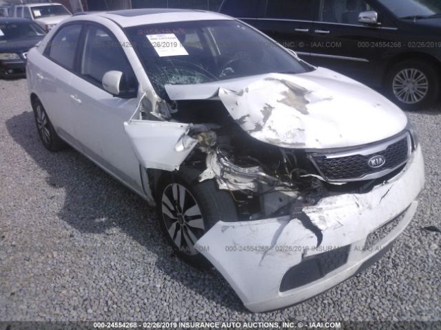 Photo 5 VIN: KNAFU4A28D5719055 - KIA FORTE 