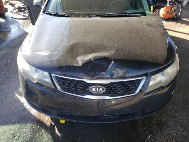 Photo 6 VIN: KNAFU4A28D5735319 - KIA FORTE EX 