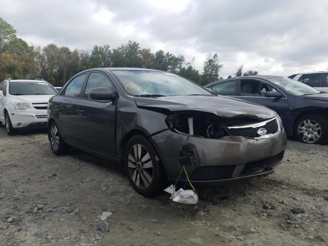 Photo 0 VIN: KNAFU4A28D5737040 - KIA FORTE EX 