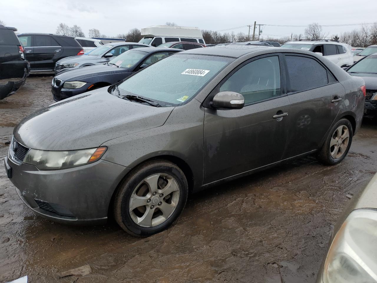 Photo 0 VIN: KNAFU4A29A5109323 - KIA FORTE 