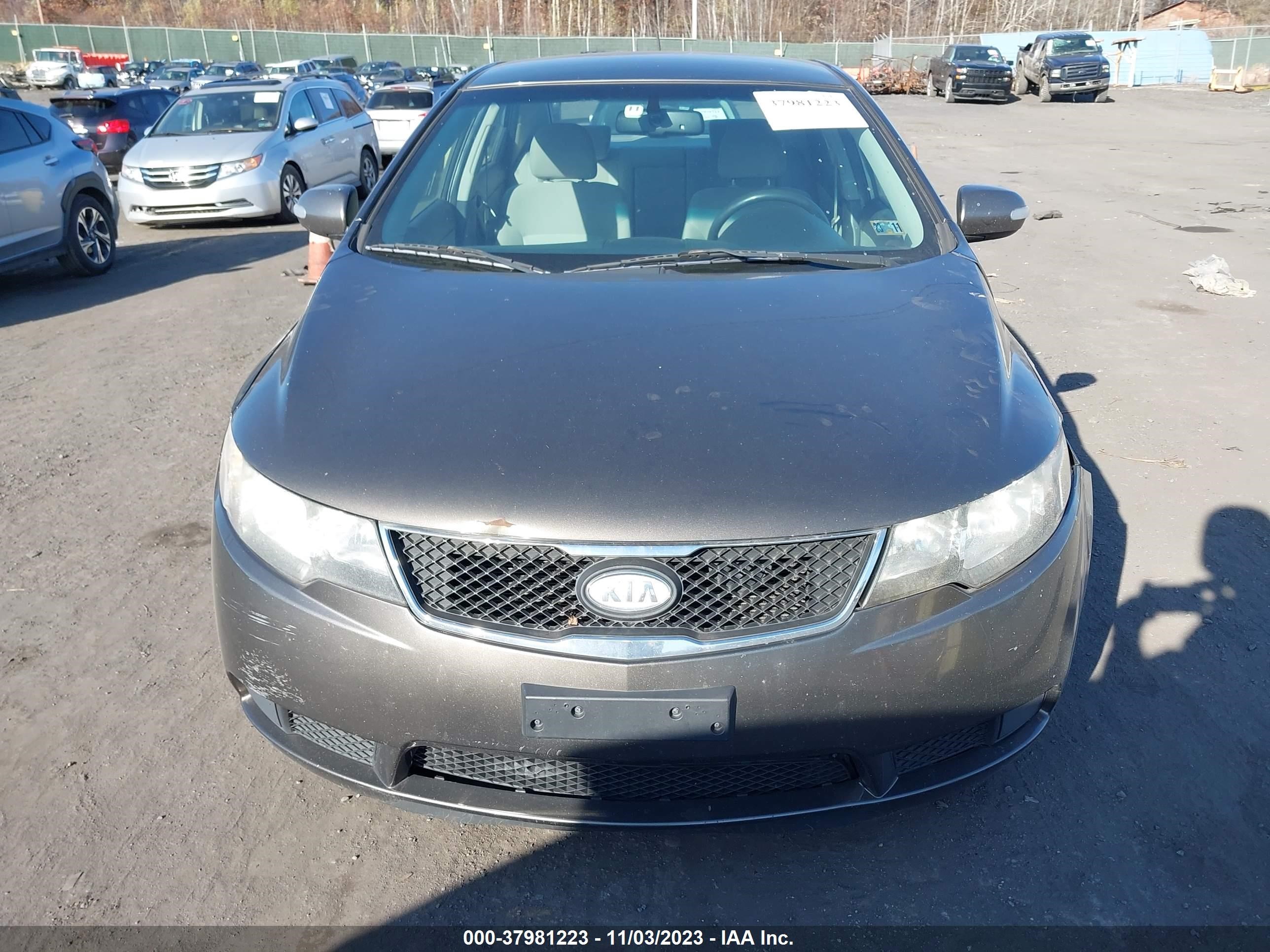 Photo 11 VIN: KNAFU4A29A5187438 - KIA FORTE 