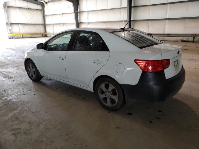 Photo 1 VIN: KNAFU4A29A5261568 - KIA FORTE EX 