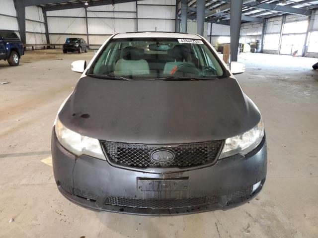 Photo 4 VIN: KNAFU4A29A5261568 - KIA FORTE EX 