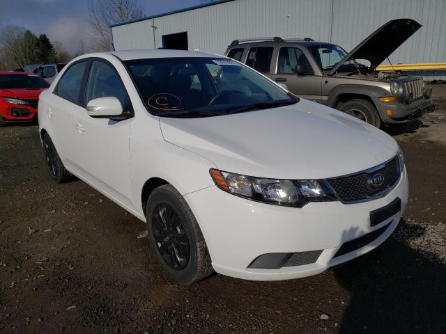 Photo 0 VIN: KNAFU4A29A5303544 - KIA FORTE EX 