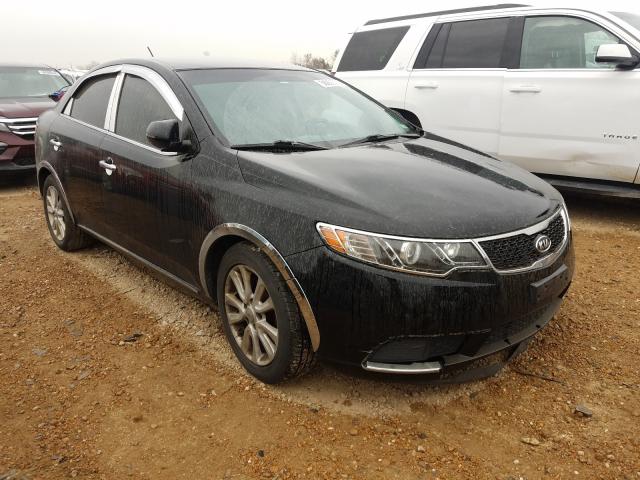 Photo 0 VIN: KNAFU4A29B5415021 - KIA FORTE EX 