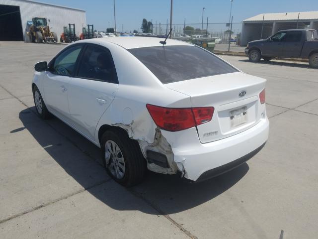 Photo 2 VIN: KNAFU4A29B5448469 - KIA FORTE EX 