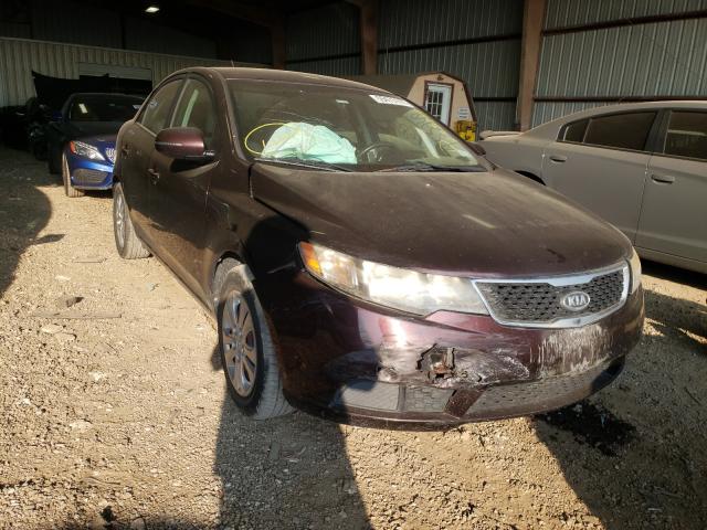 Photo 0 VIN: KNAFU4A29B5453249 - KIA FORTE EX 