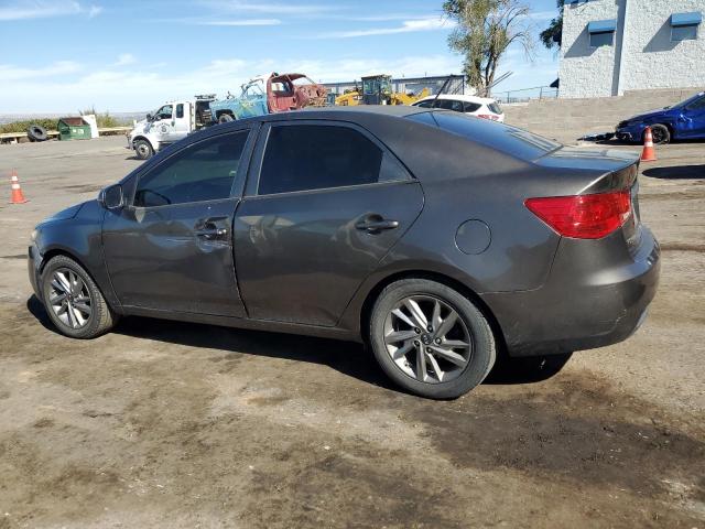 Photo 1 VIN: KNAFU4A29C5544992 - KIA FORTE EX 