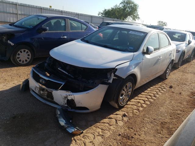 Photo 1 VIN: KNAFU4A29C5571500 - KIA FORTE EX 