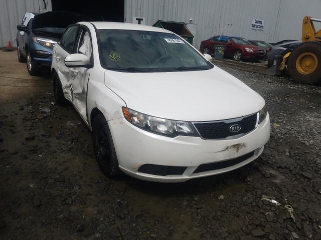 Photo 0 VIN: KNAFU4A29C5590550 - KIA FORTE EX 