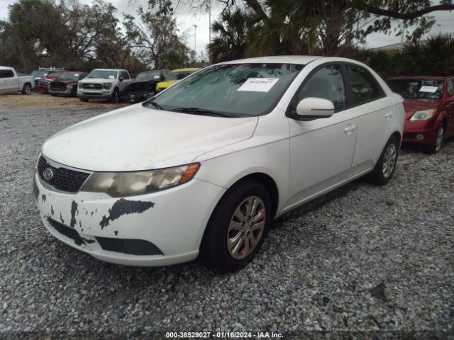 Photo 1 VIN: KNAFU4A29C5641769 - KIA FORTE 