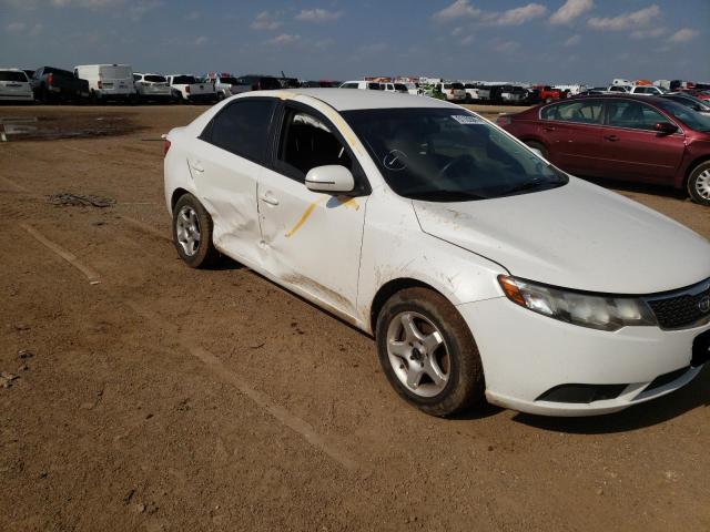 Photo 8 VIN: KNAFU4A29D5647573 - KIA FORTE EX 