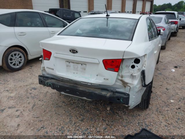 Photo 5 VIN: KNAFU4A29D5664308 - KIA FORTE 