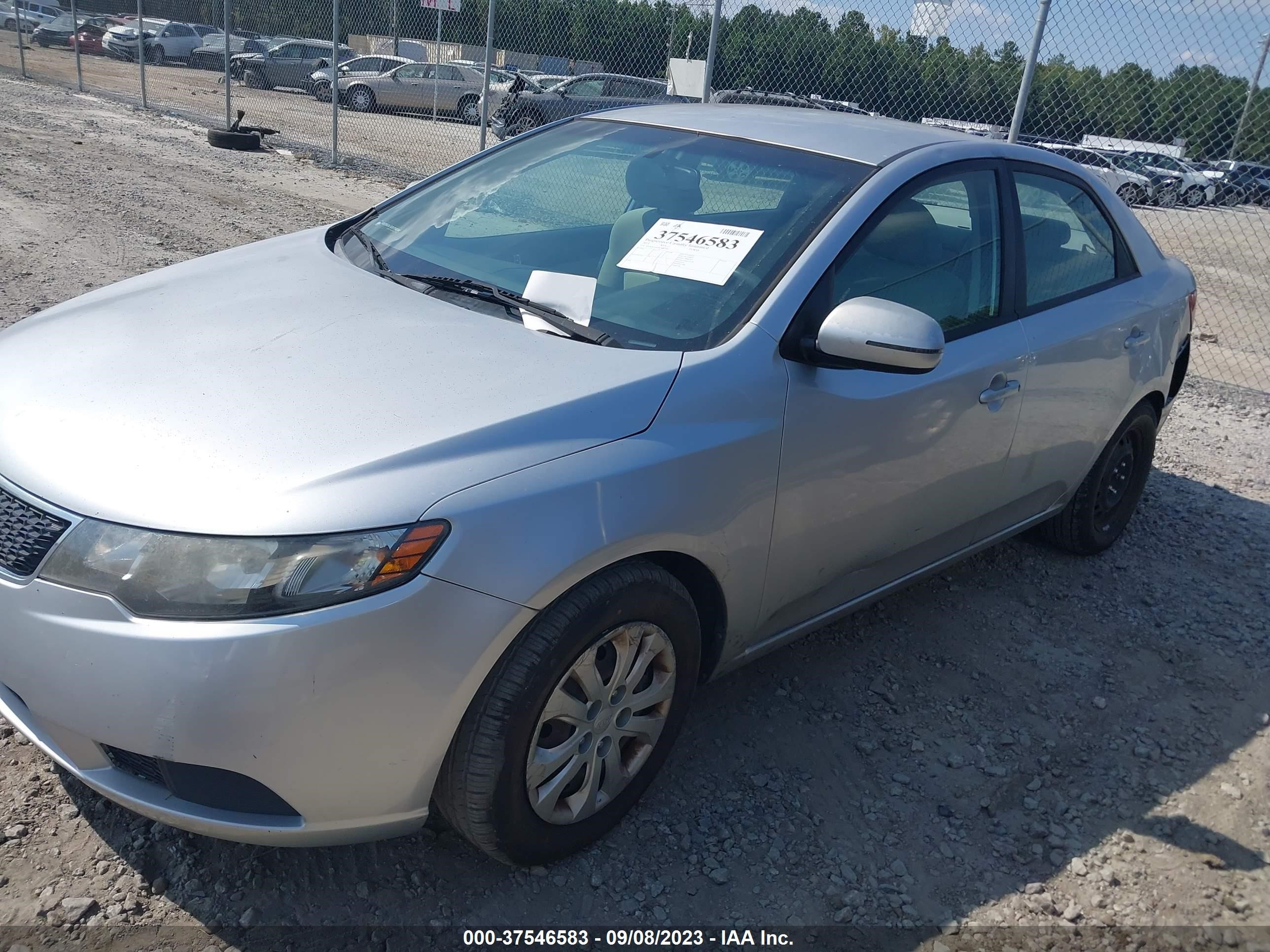 Photo 1 VIN: KNAFU4A29D5665491 - KIA FORTE 