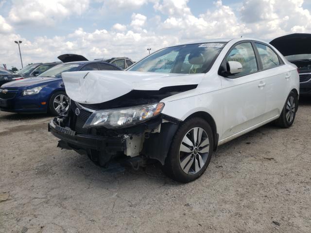 Photo 1 VIN: KNAFU4A29D5671453 - KIA FORTE EX 