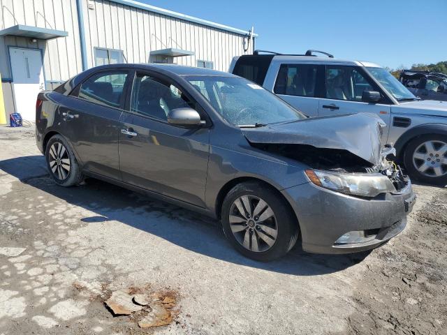 Photo 3 VIN: KNAFU4A29D5699186 - KIA FORTE EX 